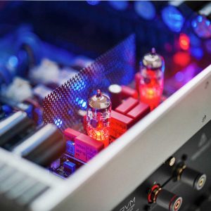 AVM-Audio-OVATION-Glowing-Tubes-Connection-Terminals-Loudspeaker-Detail-01-20120601 (1)